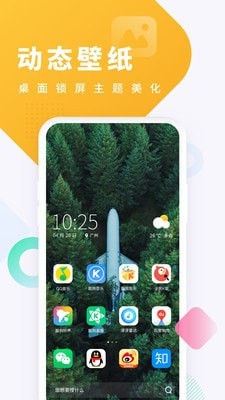 绿蜘蛛配货