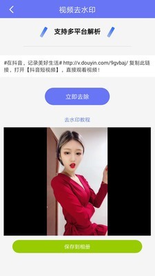 去水印视频工具