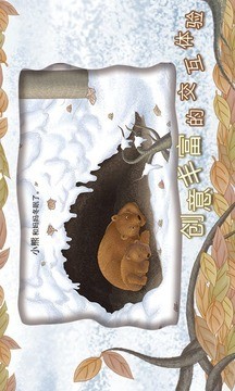 我们的春夏秋冬