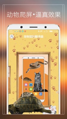 宠物猫狗交流器