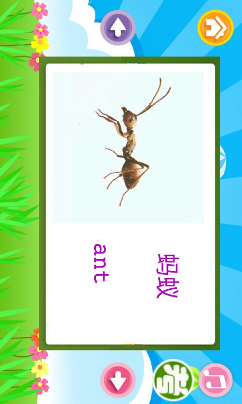 儿童英语学习