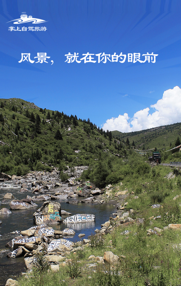 掌上自驾游网