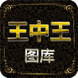 王中王家居广场v1.0.0