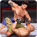 MMA格斗经理v0.6.14