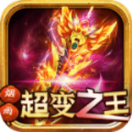 九龙超变传奇单职业