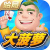 哈局大菠萝v91.418