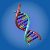 进化世界模拟器v1.1
