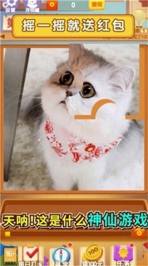 天天拼图
