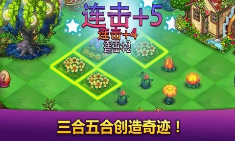 合合大师