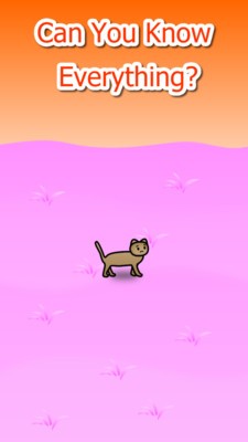 流浪猫之门