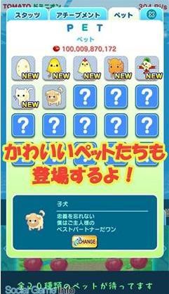 西红柿首富钻石版