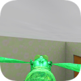 苍蝇生存3D模拟v1.0