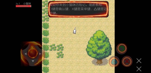 小猫咪故事