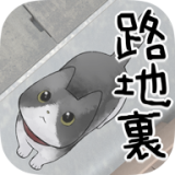 迷路的小球v1.1