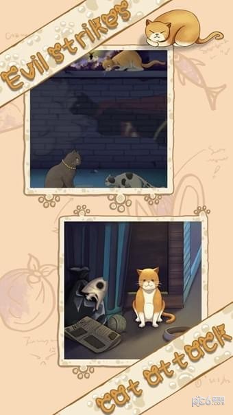 喵星人简史