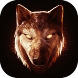The Game of The Playfulv1.1最新版