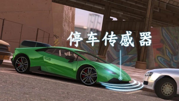 真实模拟驾驶赛车