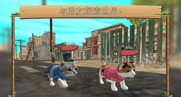 猫咪生存日记